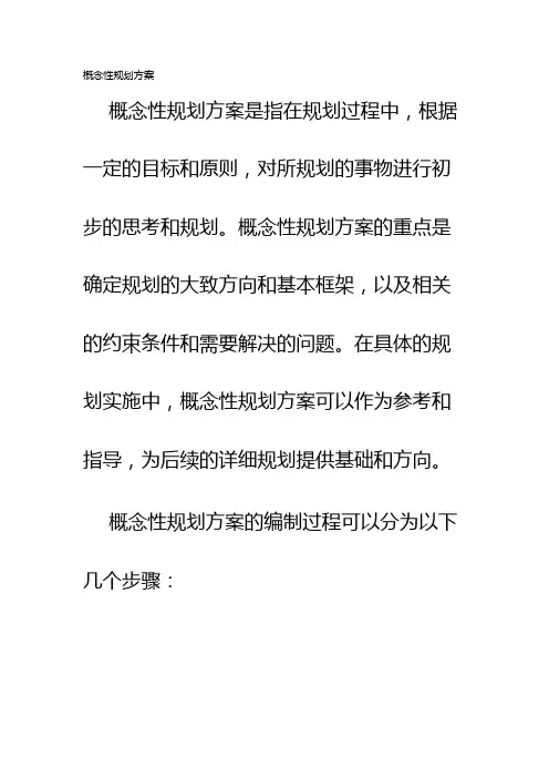概念性规划方案