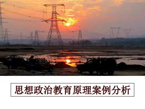 最新思想政治教育原理案例分析讲学课件