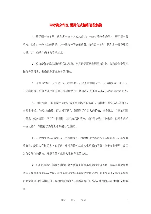中考语文 满分作文 惯用句式精彩语段集锦素材
