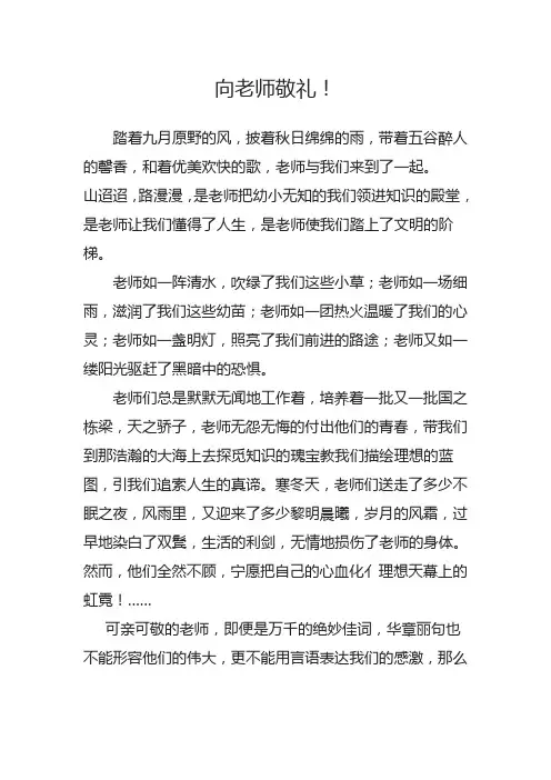 向老师敬礼