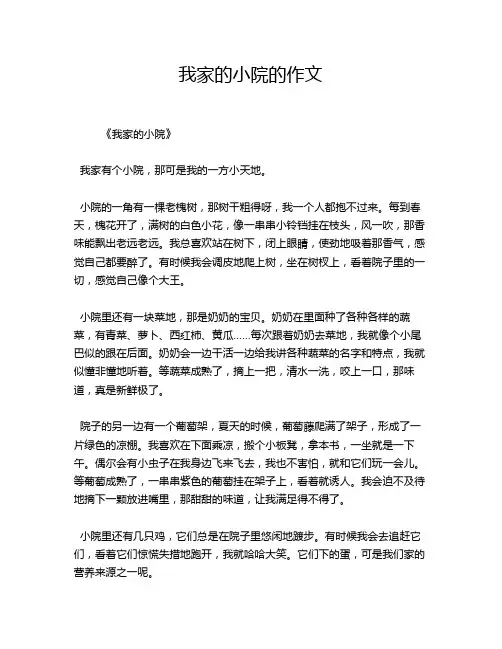 我家的小院的作文