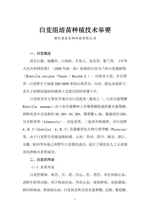 白技术芨种植