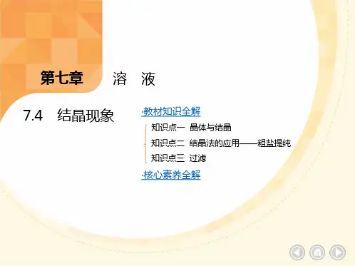 7.4+结晶现象习题课件---2023-2024学年九年级化学科粤版(2012)下册
