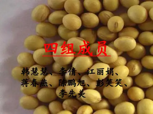 大豆纤维