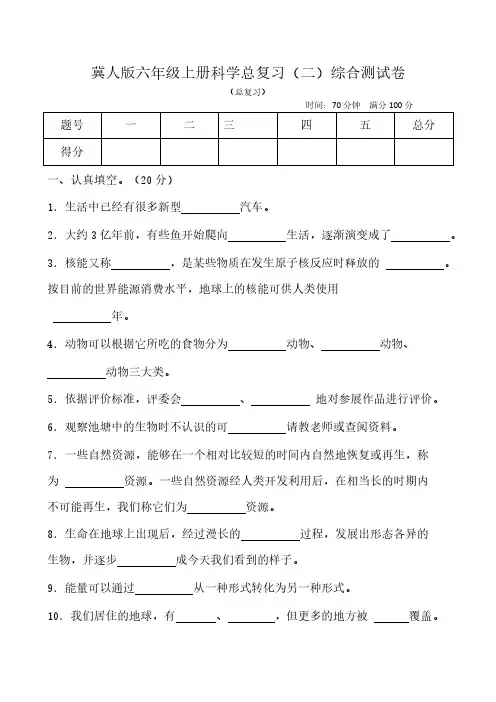 2024冀人版六年级上册科学总复习(二)综合测试卷(含答案)