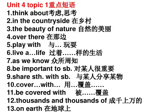 仁爱英语八年级上unit4 topic1重点短语