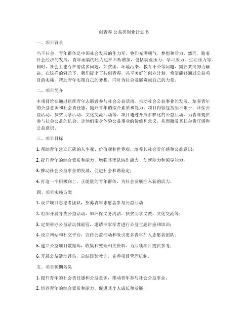 创青春 公益类创业计划书