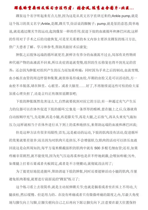 踝泵股四头肌静蹲练习方法