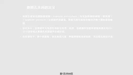 超声心动图评价卵圆孔未闭PPT课件