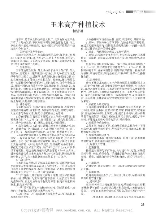 玉米高产种植技术