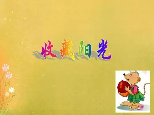 《收藏阳光》课件