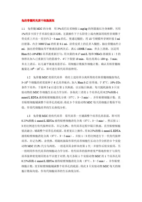 骨髓间充质干细胞的分离培养1