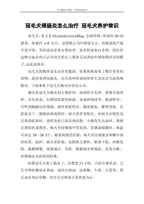 冠毛犬得肠炎怎么治疗 冠毛犬养护常识