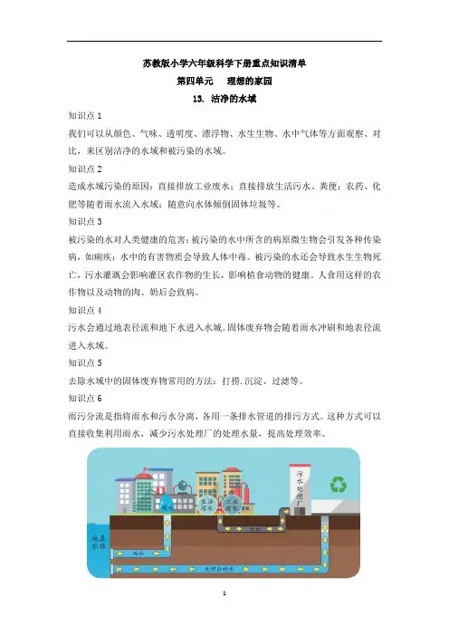 第四单元知识点2022-2023学年六年级科学下册单元复习讲义(苏教版)
