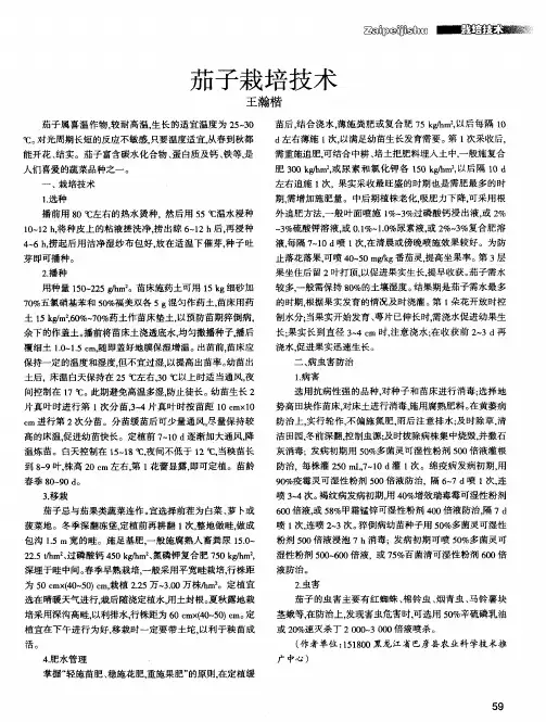 茄子栽培技术
