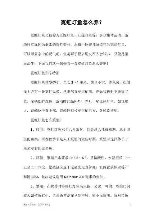 霓虹灯鱼怎么养？