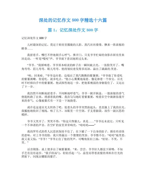 深处的记忆作文800字精选十六篇