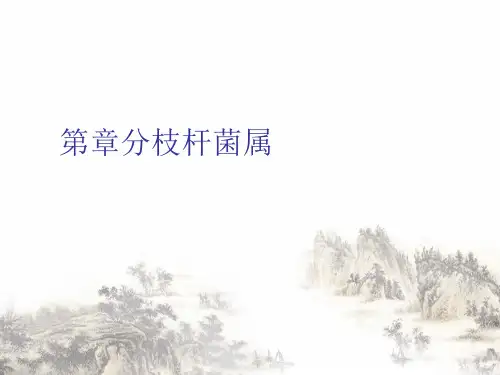 分枝杆菌属PPT课件