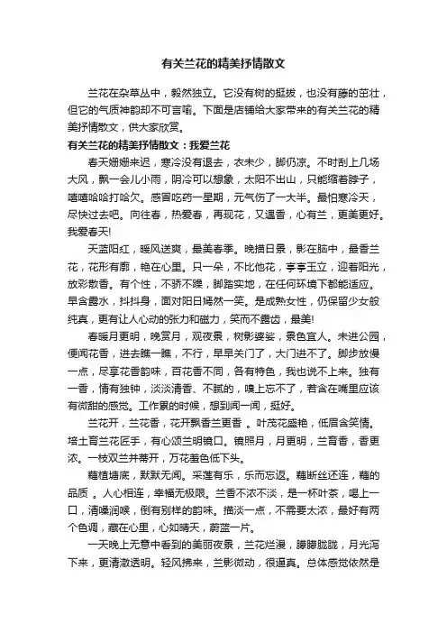 有关兰花的精美抒情散文
