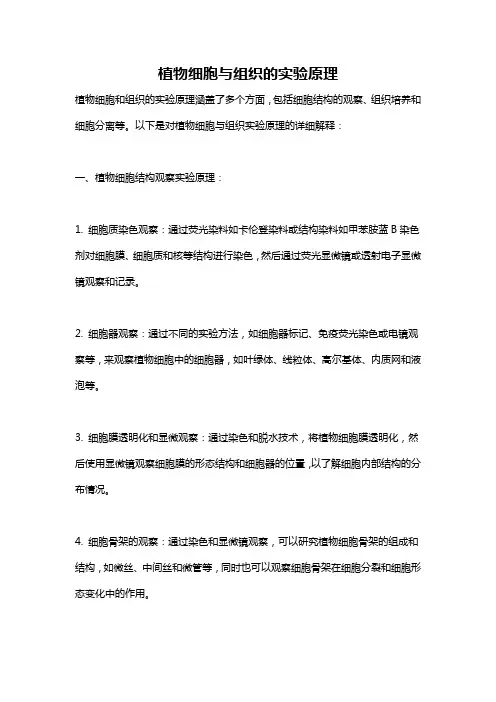植物细胞与组织的实验原理