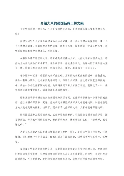 介绍大米的强国品牌工程文案