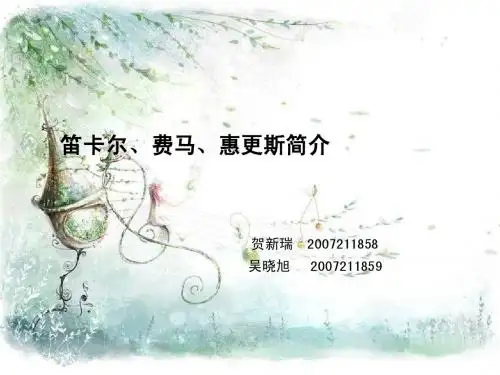 笛卡尔-费马-惠更斯