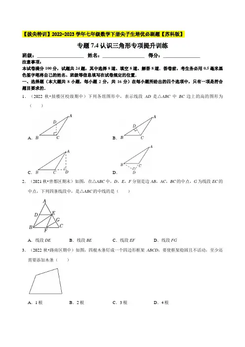 [数学]-专题7.4认识三角形专项提升训练(重难点培优)-【】2022-2023学年七年级数学下册尖