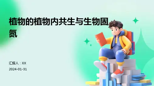 植物的植物内共生与生物固氮