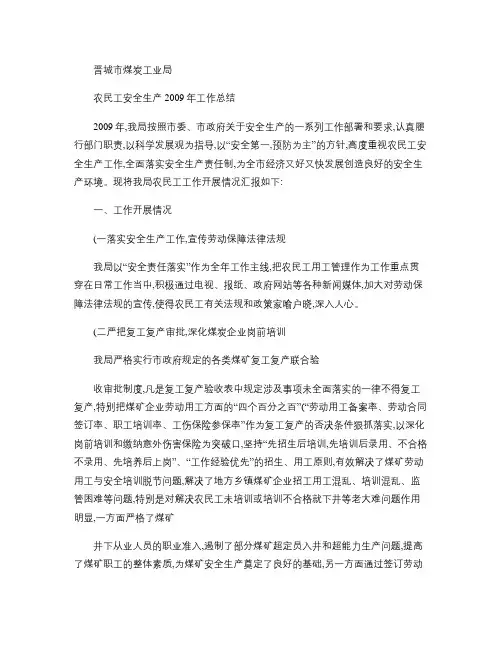 农民工安全生产2009年工作总结(精)