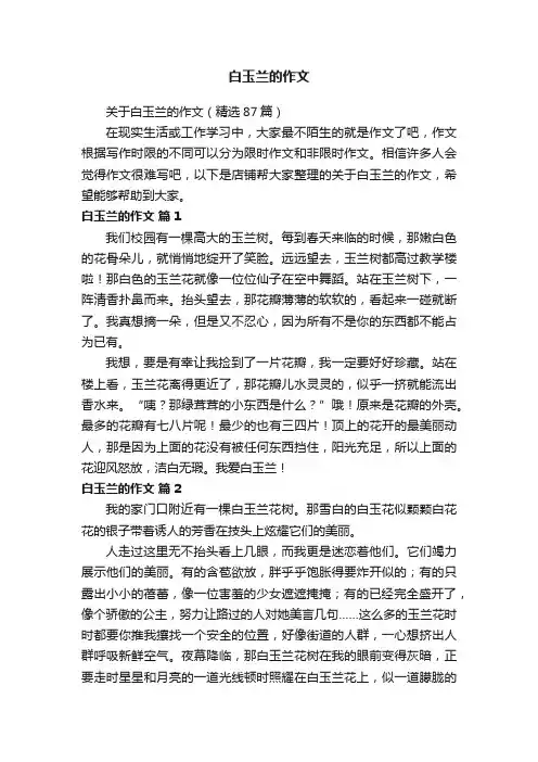 白玉兰的作文