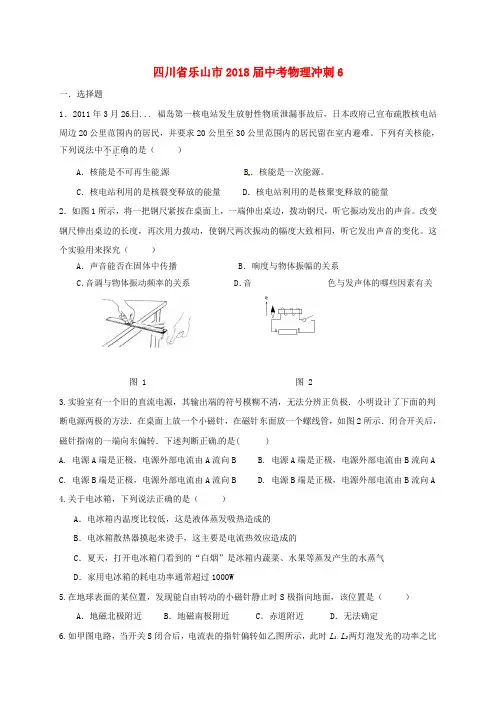 四川省乐山市2018届中考物理冲刺6(无答案)