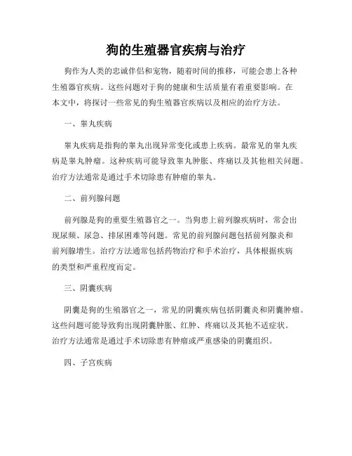 狗的生殖器官疾病与治疗