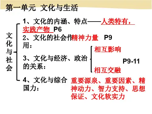 必修三文化生活第一单元思维导图