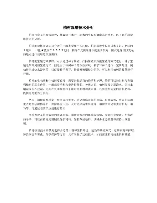 柏树栽培技术分析