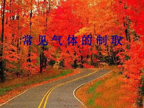 中考化学专题复习 常见气体的制取课件