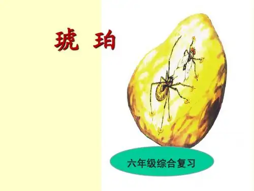 人教版六年级语文下综合复习 《琥珀》ppt.课件