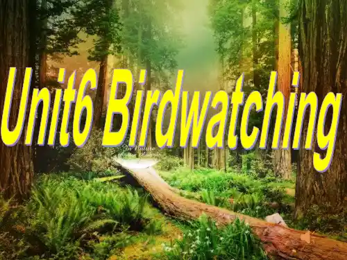 牛津译林版英语8A八年级上册unit6 birdwatching  Revision公开课课件