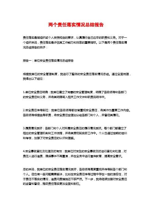 两个责任落实情况总结报告
