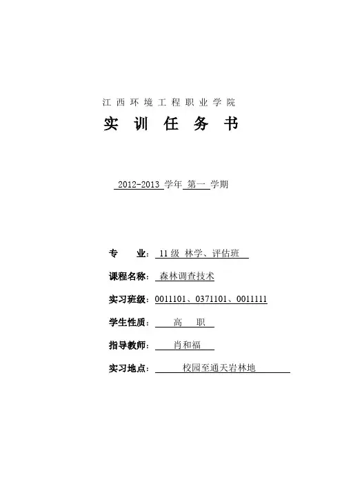 实训项目任务书
