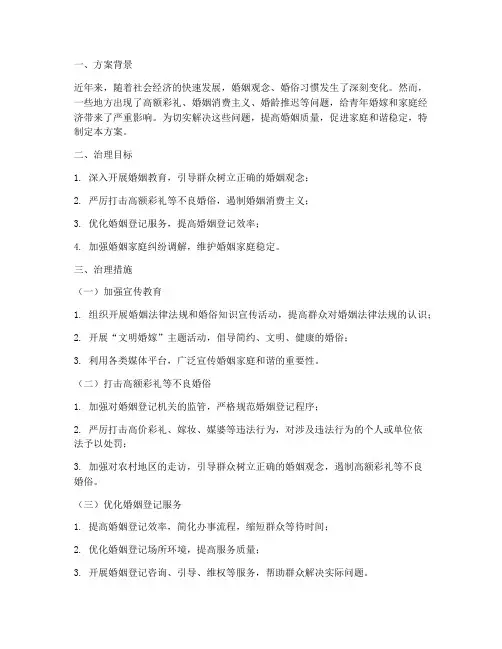 婚姻专项治理方案模板