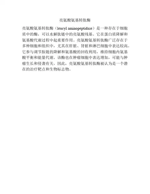 亮氨酸氨基转肽酶