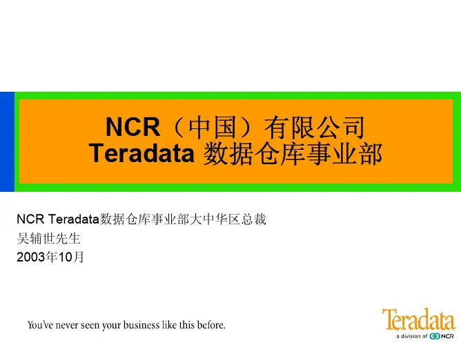 NCR Teradata数据仓库