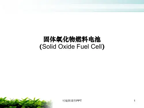 固体氧化物燃料电池ppt课件
