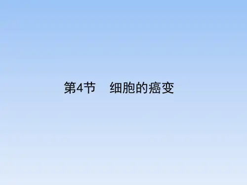 人教课标版高中生物必修1《细胞的癌变》精品课件