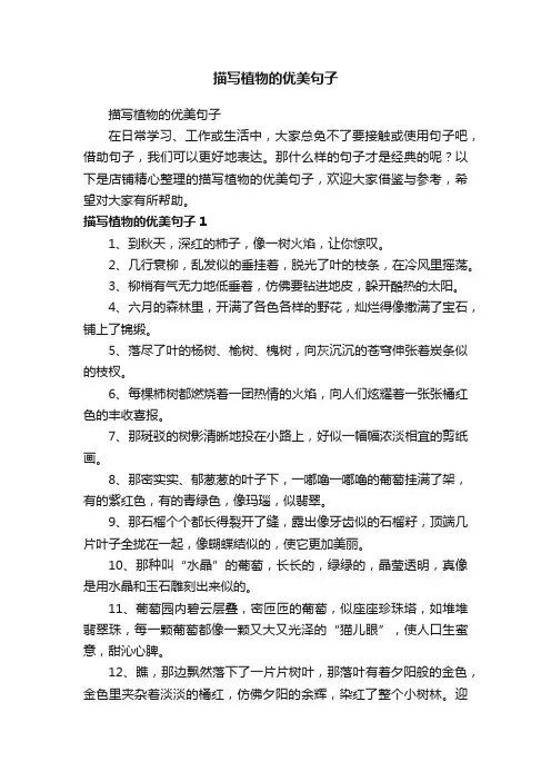 描写植物的优美句子