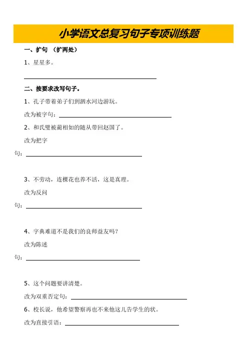 小学语文毕业总复习句子专项训练题
