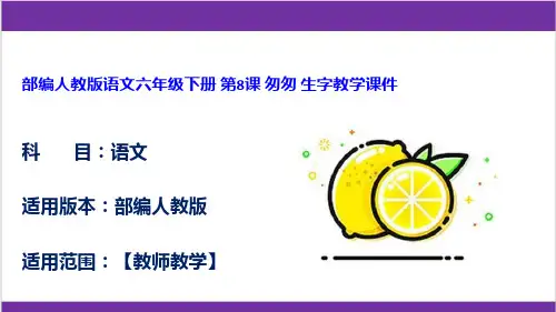 部编人教版语文六年级下册 第8课 匆匆 生字教学课件