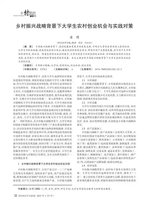 乡村振兴战略背景下大学生农村创业机会与实践对策