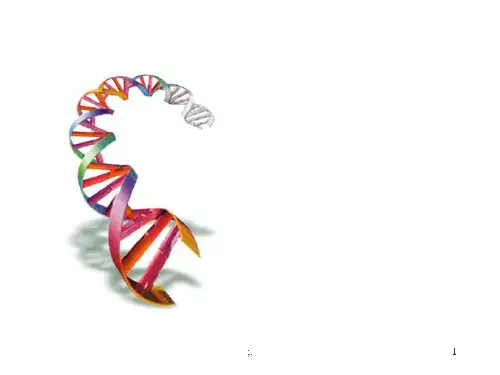 生物化学ppt课件