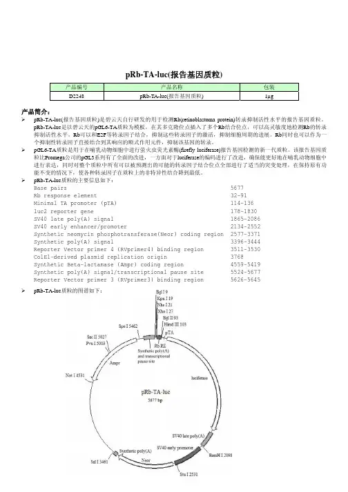 luc_报告基因质粒_doc